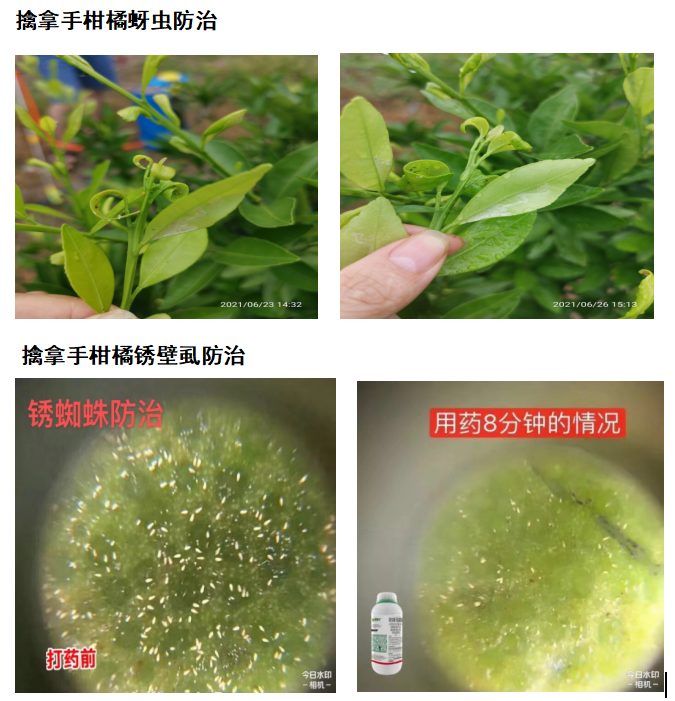針對這個可控難治的病，我們有高招！